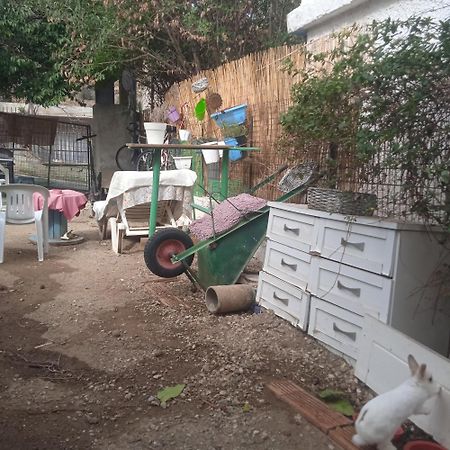 Apartament Το Μικρό Σπίτι Στη Φάρμα! Acharny Zewnętrze zdjęcie