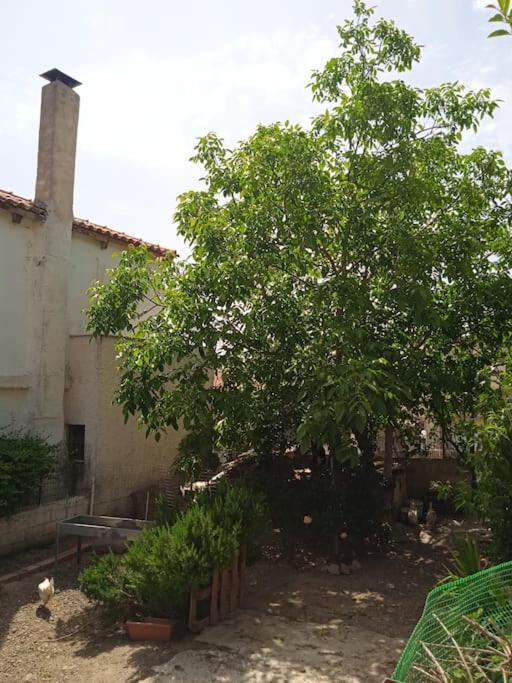 Apartament Το Μικρό Σπίτι Στη Φάρμα! Acharny Zewnętrze zdjęcie