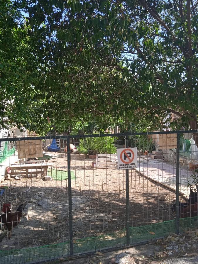 Apartament Το Μικρό Σπίτι Στη Φάρμα! Acharny Zewnętrze zdjęcie