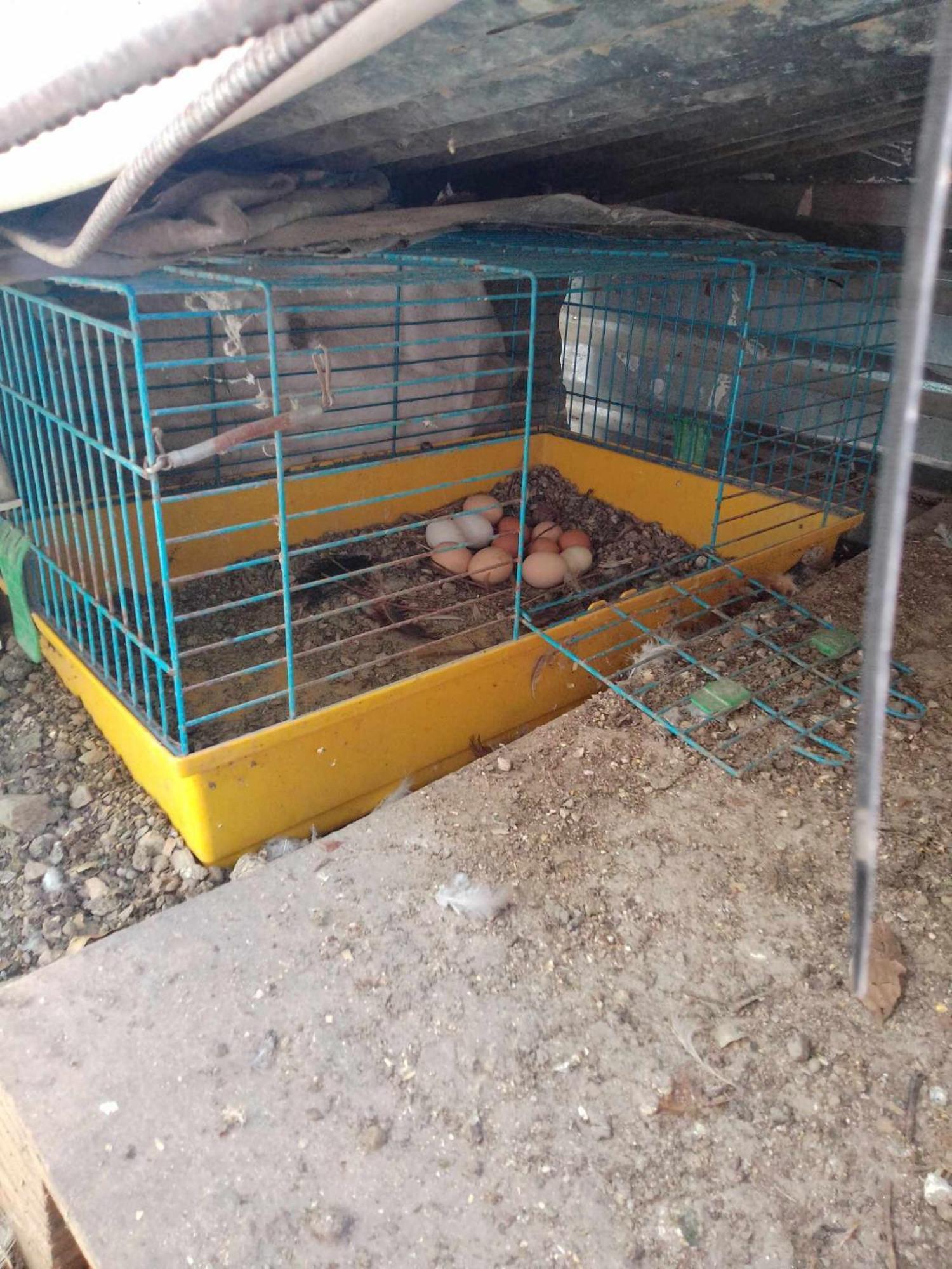 Apartament Το Μικρό Σπίτι Στη Φάρμα! Acharny Zewnętrze zdjęcie